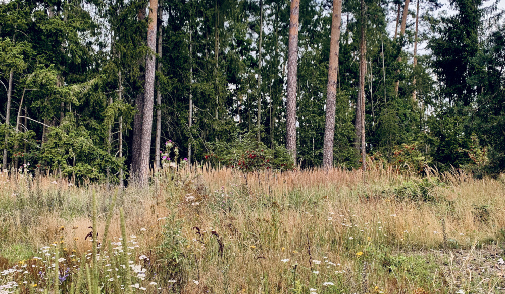 Ceskem-na-kole-citybikes (2)